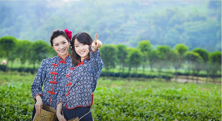 日本老人采樹葉賺53萬 是天價葉子還是天價商機(jī)？