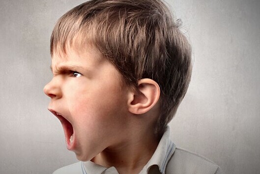 被餓了么美團百度外賣和口碑聯(lián)合封殺是種什么體驗？