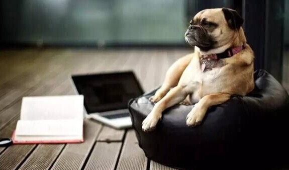 一個(gè)互聯(lián)網(wǎng)公司“產(chǎn)品狗”把餐廳做成了“微軟”！