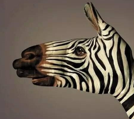 宣傳靠自嗨，多少餐飲老板死于所謂的“高大上”！