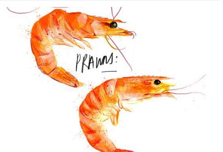 你是不是被“偽品類”忽悠了好多年？