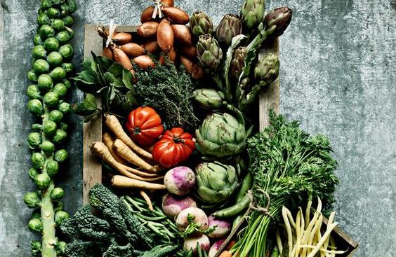 2016年生鮮食材供應鏈的變革風向看這里