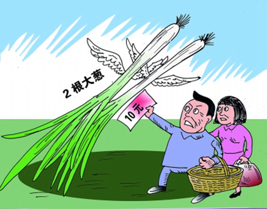 高價蔥提升成本，菜品價到底漲不漲愁壞老板