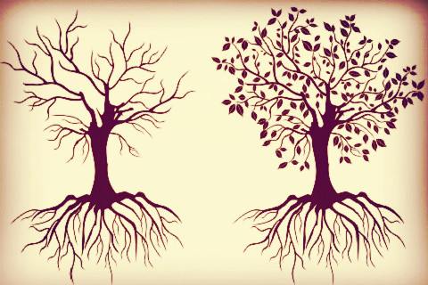 繁榮背后，北上廣深餐企死亡率究竟有多高