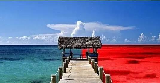 火鍋紅海里還能怎么深扒藍(lán)海區(qū)域？|餐飲界