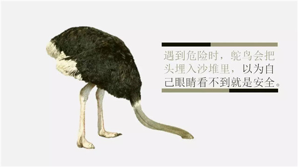 這6個詞，你誤解了任何一個，都能讓你錯過“風(fēng)口”