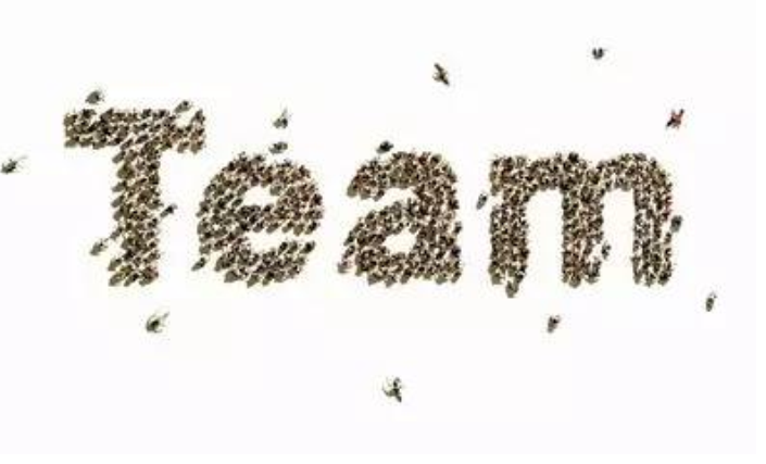 轉換視角，鹿看餐飲品牌的投資價值