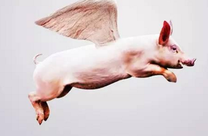 互聯(lián)網(wǎng)時代，且看風(fēng)口上的智慧餐飲豬怎么飛？