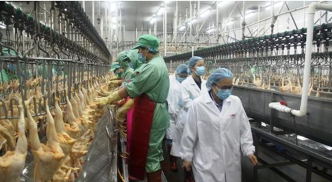 8000塊起家，如今靠養(yǎng)殖做到2000億，足可比肩華為卻鮮有人知|餐飲界