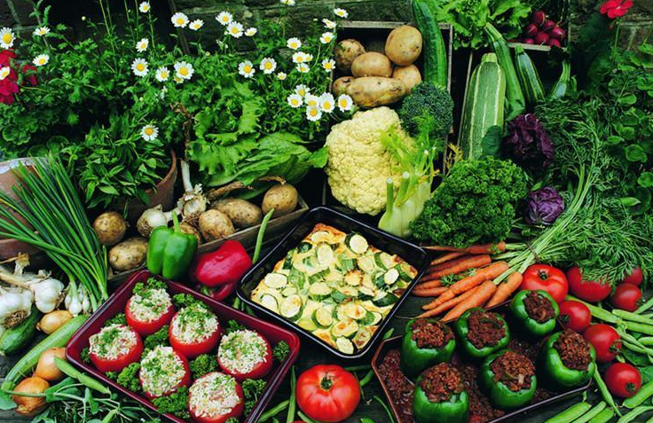 把生命浪費在美好上，體驗不好怎么行？（上）