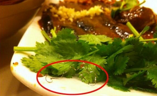 食客在餐廳吃到鋼絲，餐廳被判賠償食客206萬，并罰款686萬