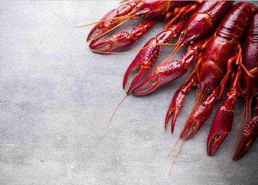 大學(xué)竟為她開設(shè)專業(yè)！餐飲界最紅單品2017要怎么爆發(fā)？