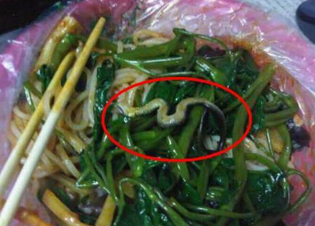 震驚！廣西大學(xué)一螺螄粉店竟然吃出一條蛇！真相是？