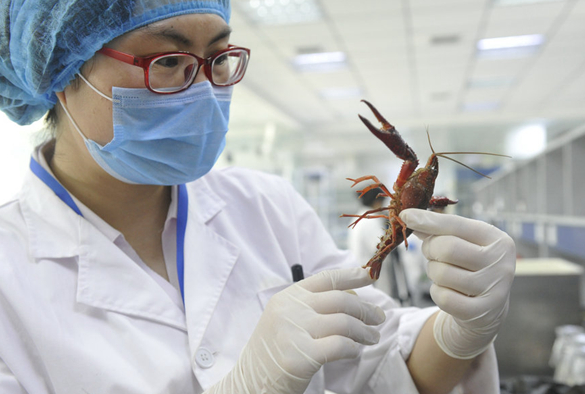 吃小龍蝦的季節(jié)也要注意衛(wèi)生！隨機(jī)買3份小龍蝦 2份檢出寄生蟲