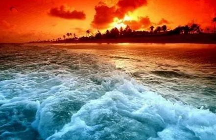 外賣創(chuàng)業(yè)江湖：早餐和午餐外賣為什么冰火兩重天？