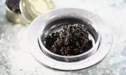 魚子醬到底有多少種？餐飲人快來辨別一下