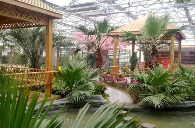 開三家死兩家，生態(tài)餐廳的風(fēng)口說是偽命題？