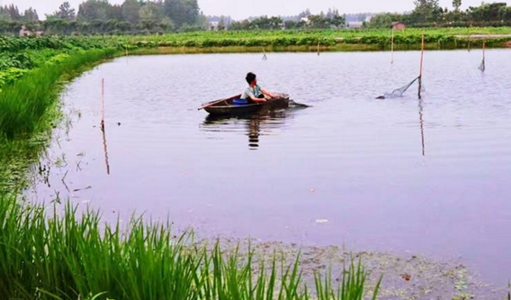 實(shí)探潛江小龍蝦源頭：無蝦可販，商戶們?cè)缭缡展ご蚺?></a>
          <div> <a href=