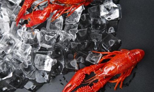 “小龍蝦專(zhuān)業(yè)”你眼饞嗎？