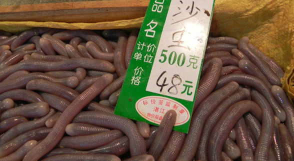 ?？谝徊蛷d沙蟲被食客質(zhì)疑不干凈 食藥監(jiān)：沒毛病