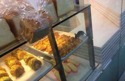 多個(gè)知名餐飲品牌安全問題被曝光：老鼠啃面包、中毒等