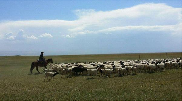 餐飲定位就是品類+客群？錯(cuò)！還要看消費(fèi)場景|餐飲界
