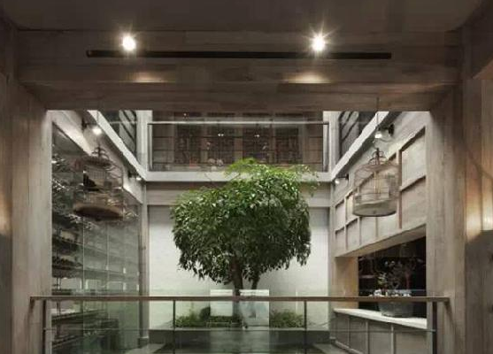 餐廳運用上這些植物裝飾，格調(diào)空間立馬不同