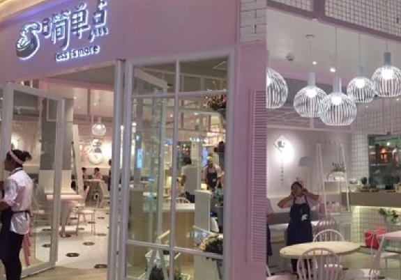 多胞胎方法論：餐企加速推副牌，原來是這樣考慮的！