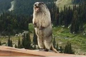 體驗3000多家餐廳后發(fā)現(xiàn)，爆品這樣打造最賺錢！