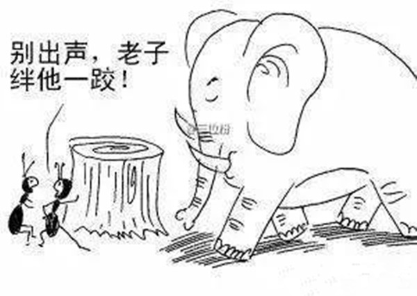 火鍋老板必看：與巴奴共舞的3個(gè)戰(zhàn)略機(jī)會(huì)！