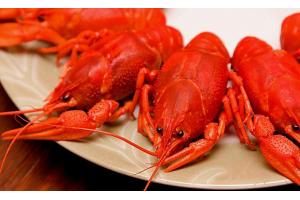 2017美食消費(fèi)報(bào)告：90后成消費(fèi)主體、消費(fèi)者最?lèi)?ài)小龍蝦、6成消費(fèi)者習(xí)慣吃宵夜|餐飲界