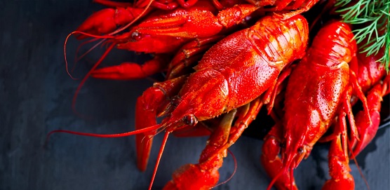 基于營養(yǎng)師資源優(yōu)勢，「瘦蜜」用寶寶餐食制作平臺為AI健康餐飲做數據鋪墊