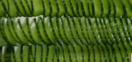 《舌尖3》亮出底牌，餐飲人笑了！