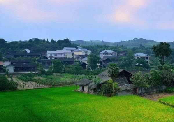 城市水太深，回鄉(xiāng)開(kāi)餐廳？看完這篇你再做決定……