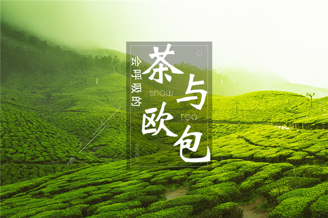 9個(gè)月開600家店，漫雪的茶憑啥攻占全國市場？|餐飲界