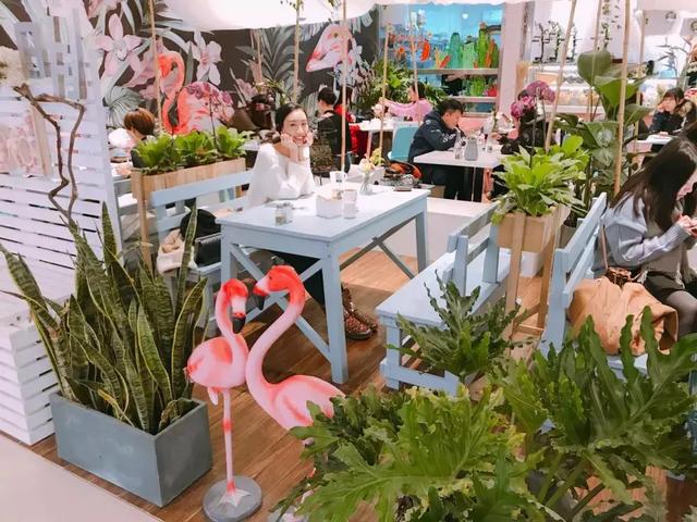 網(wǎng)紅店之所以能迅速竄紅，都少不了這15個(gè)套路|餐飲界