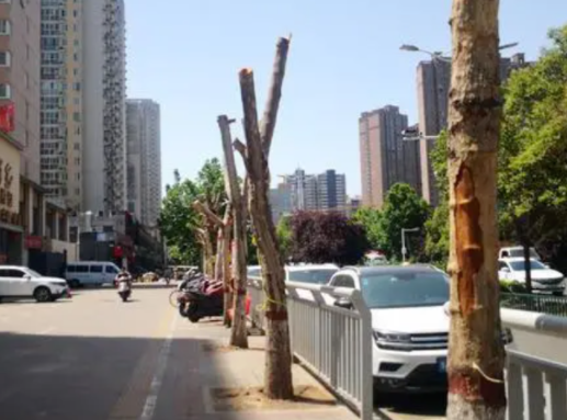 越描越黑？阿五黃河大鯉魚(yú)犯了這些公關(guān)禁忌！