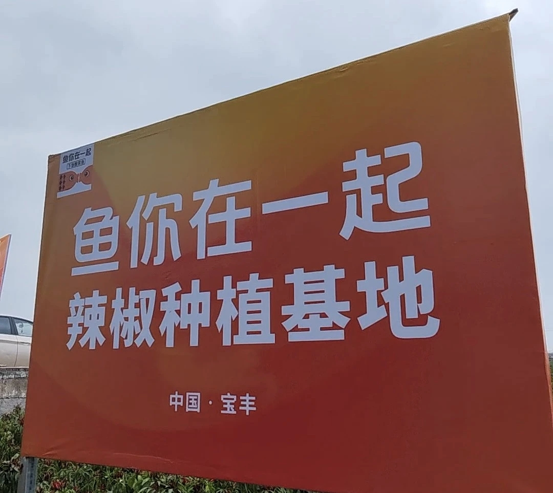 魚你在一起榮獲兩項大獎，展現(xiàn)新質(zhì)生產(chǎn)力下的雇主品牌變革|餐飲界